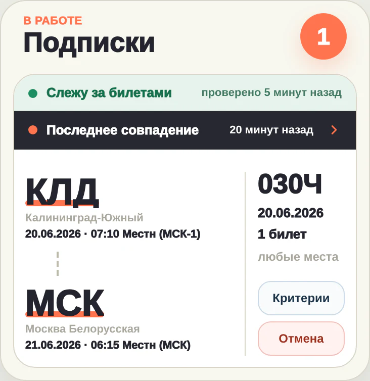Активная подписка Trainys с последней проверкой и найденным совпадением